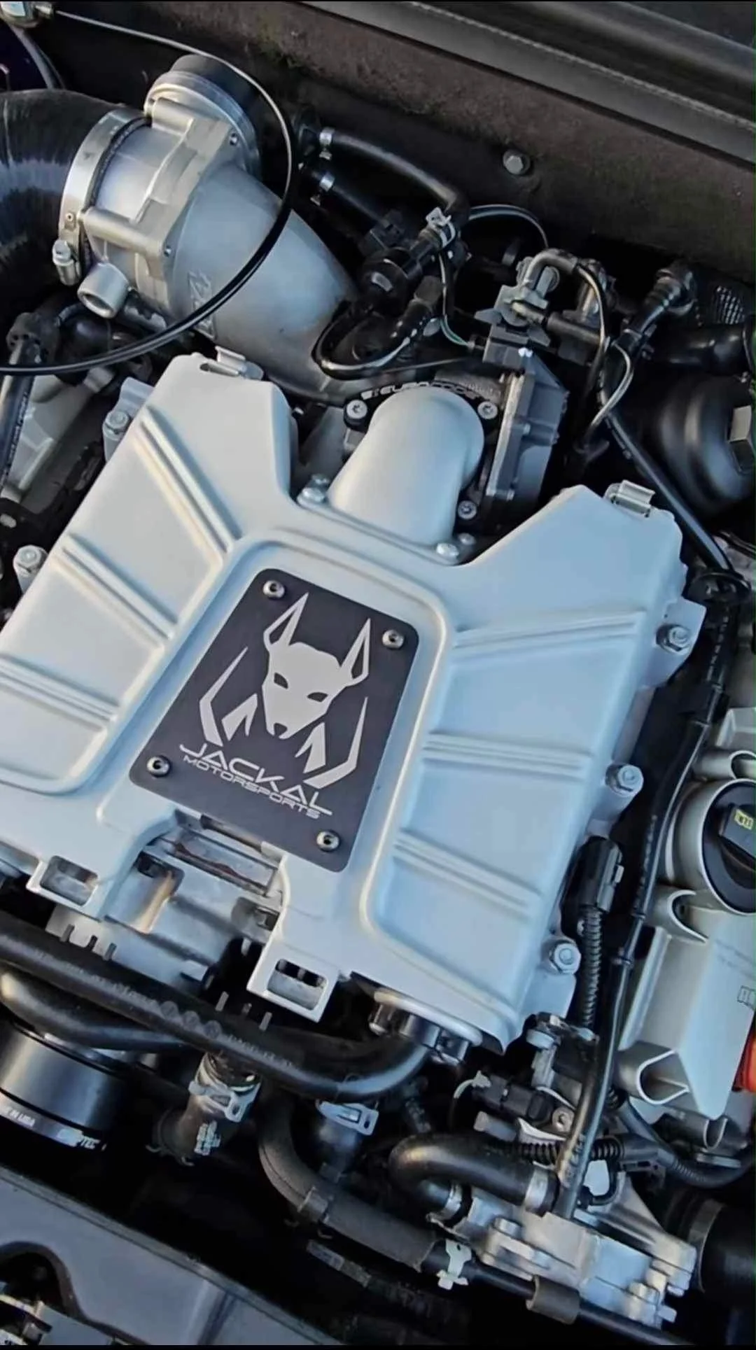 3.0TFSI Jackal Motorsports Supercharger plate - Image 2