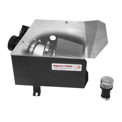 AFE Power Pro Dry Air Intake System (1.8T)