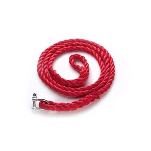 Audi Tow Rope