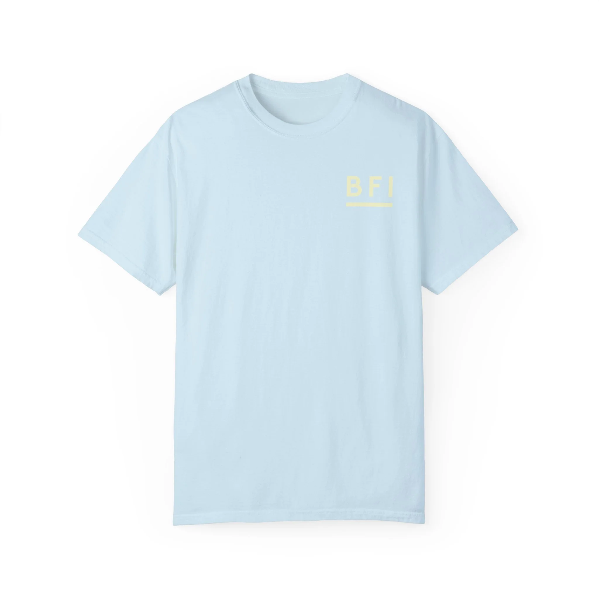 BFI Comfort Colors T-Shirt - Image 10