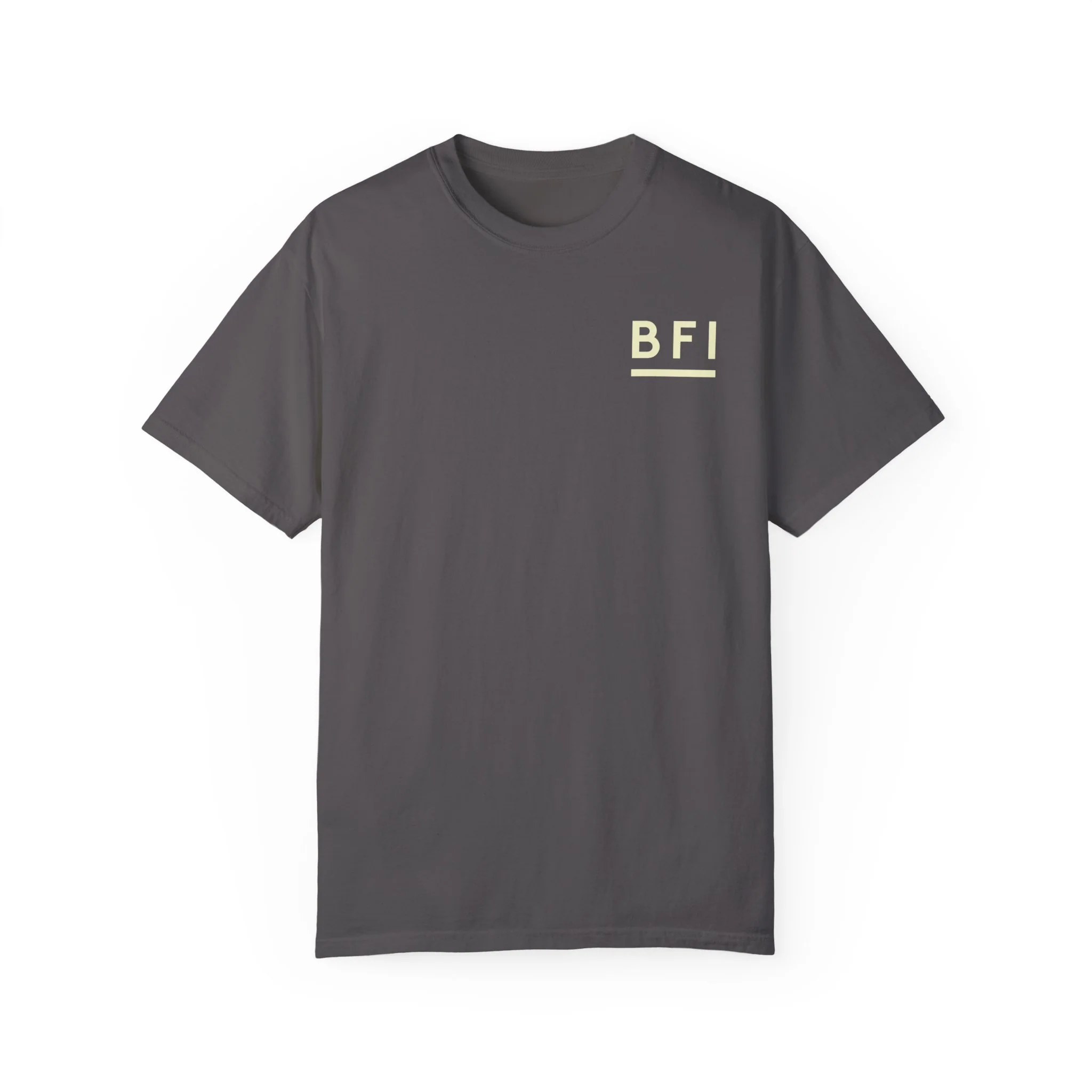 BFI Comfort Colors T-Shirt - Image 11