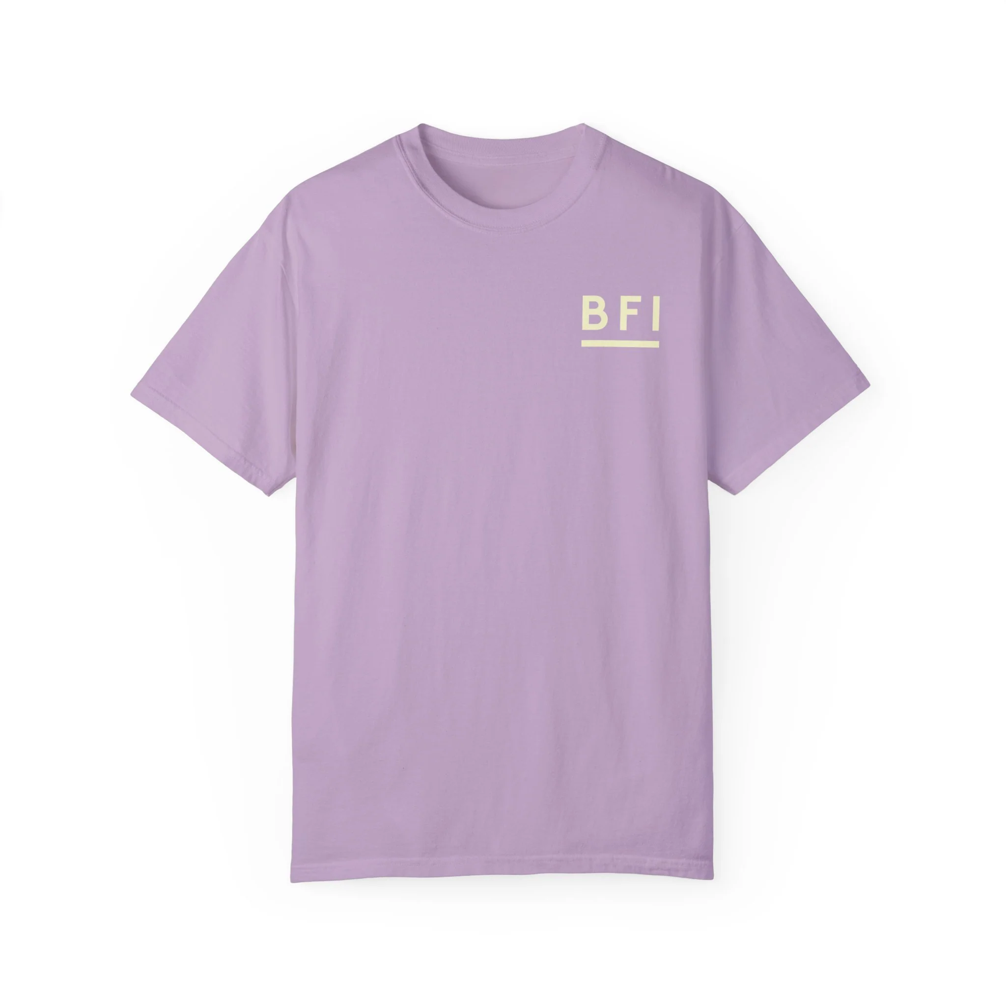 BFI Comfort Colors T-Shirt - Image 12
