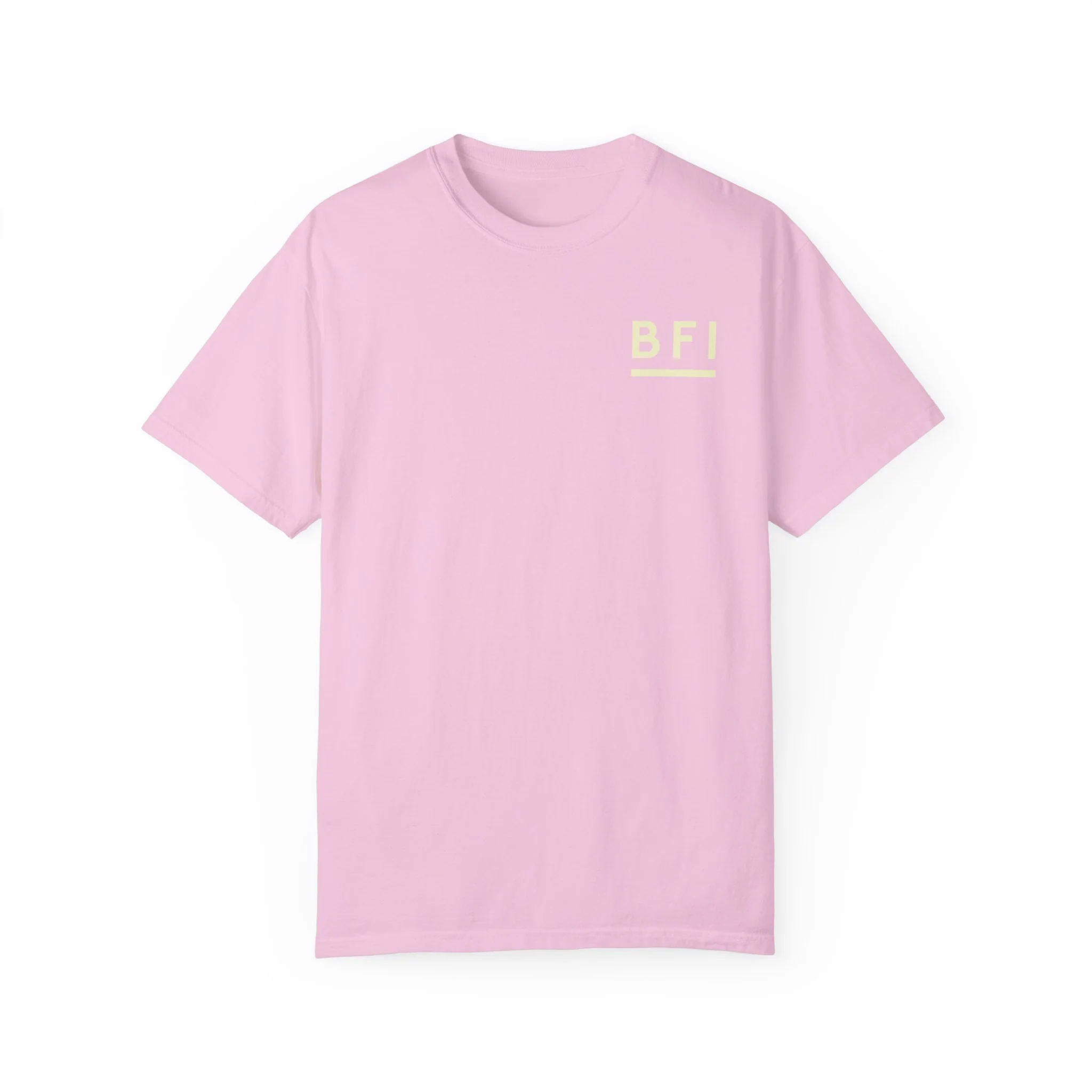 BFI Comfort Colors T-Shirt - Image 13