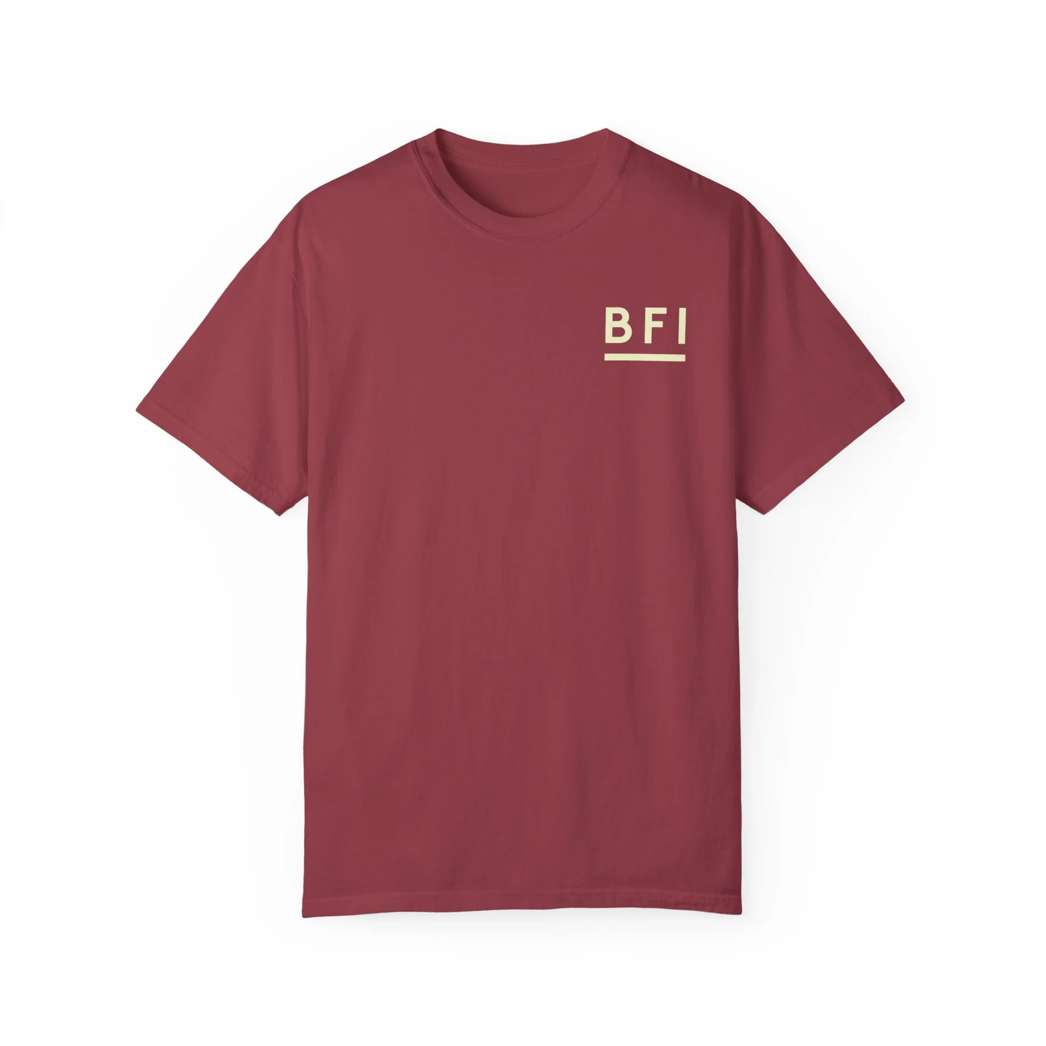 BFI Comfort Colors T-Shirt - Image 14