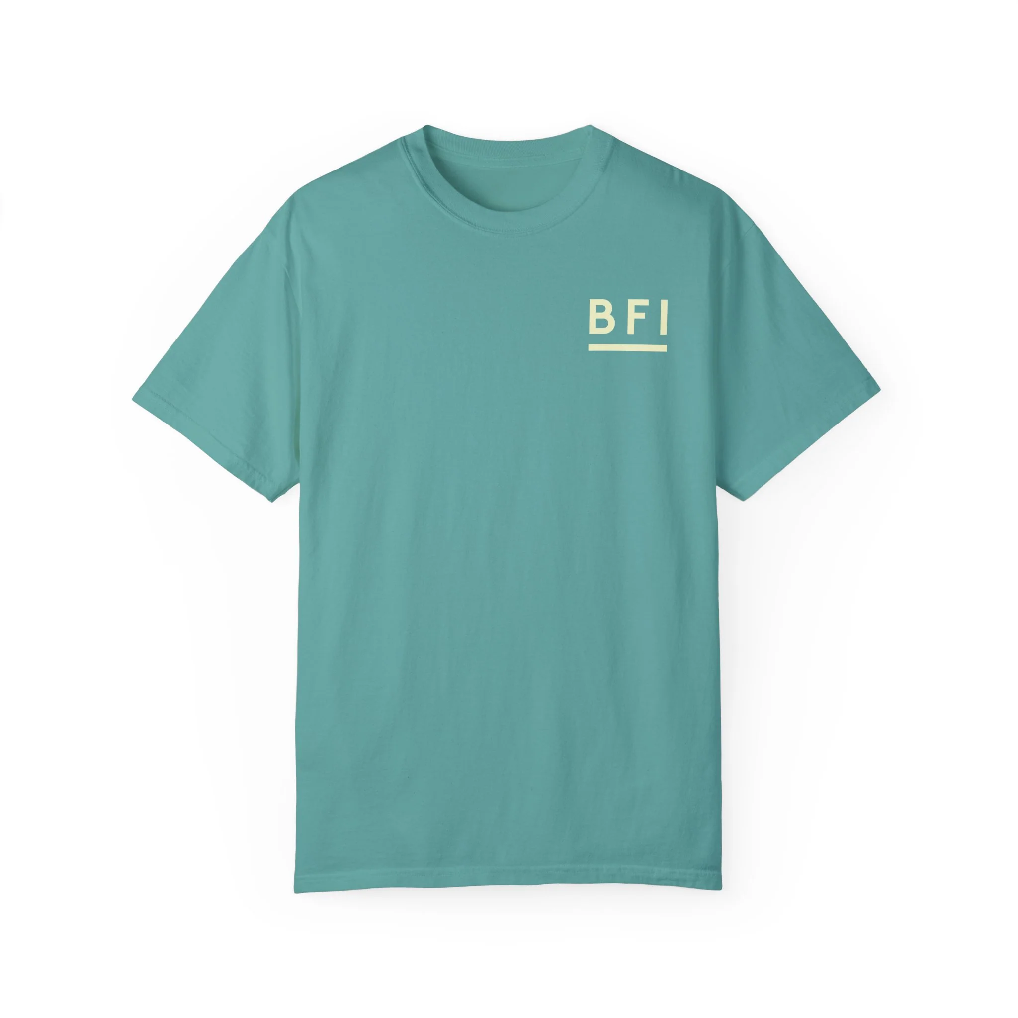BFI Comfort Colors T-Shirt - Image 15