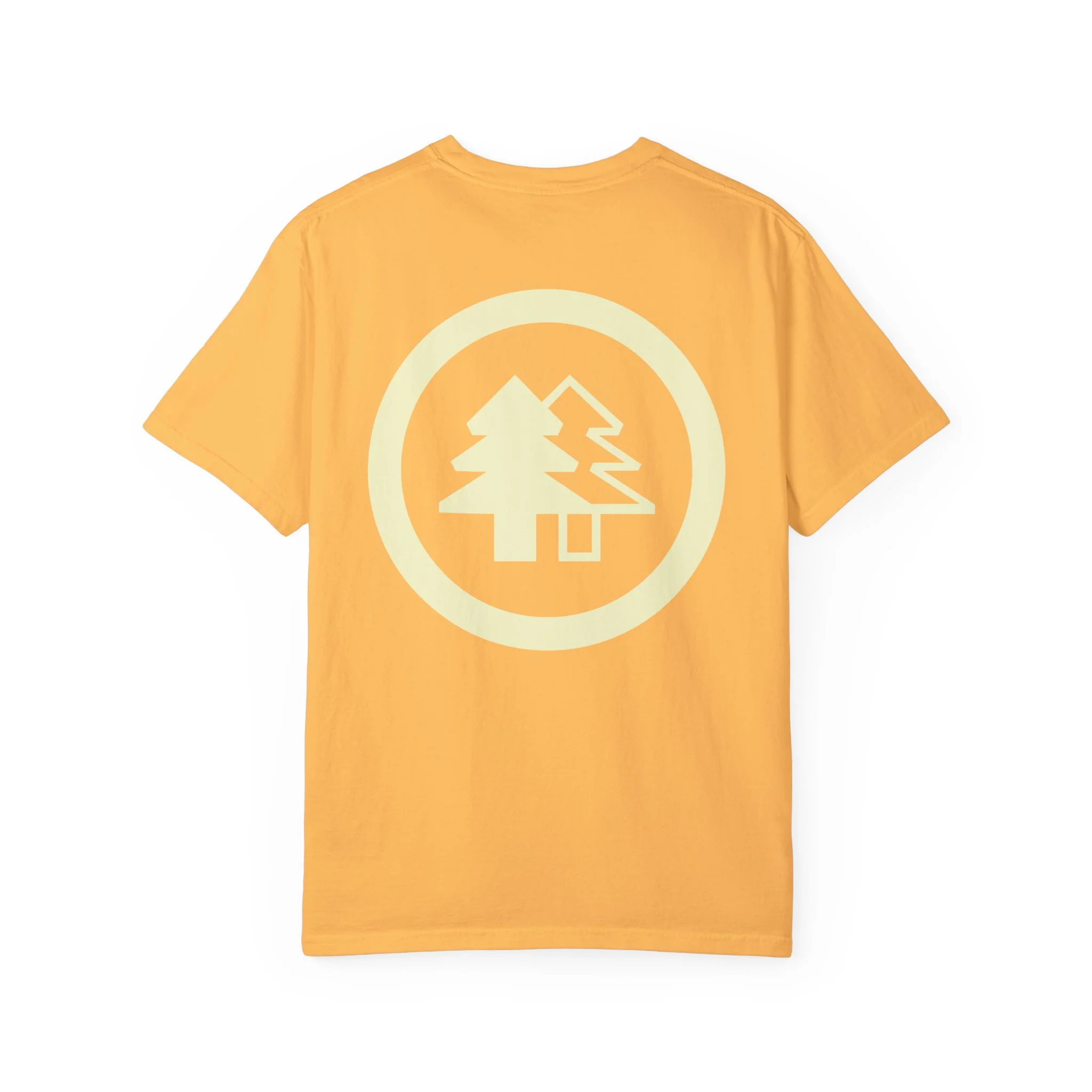 BFI Comfort Colors T-Shirt - Image 16