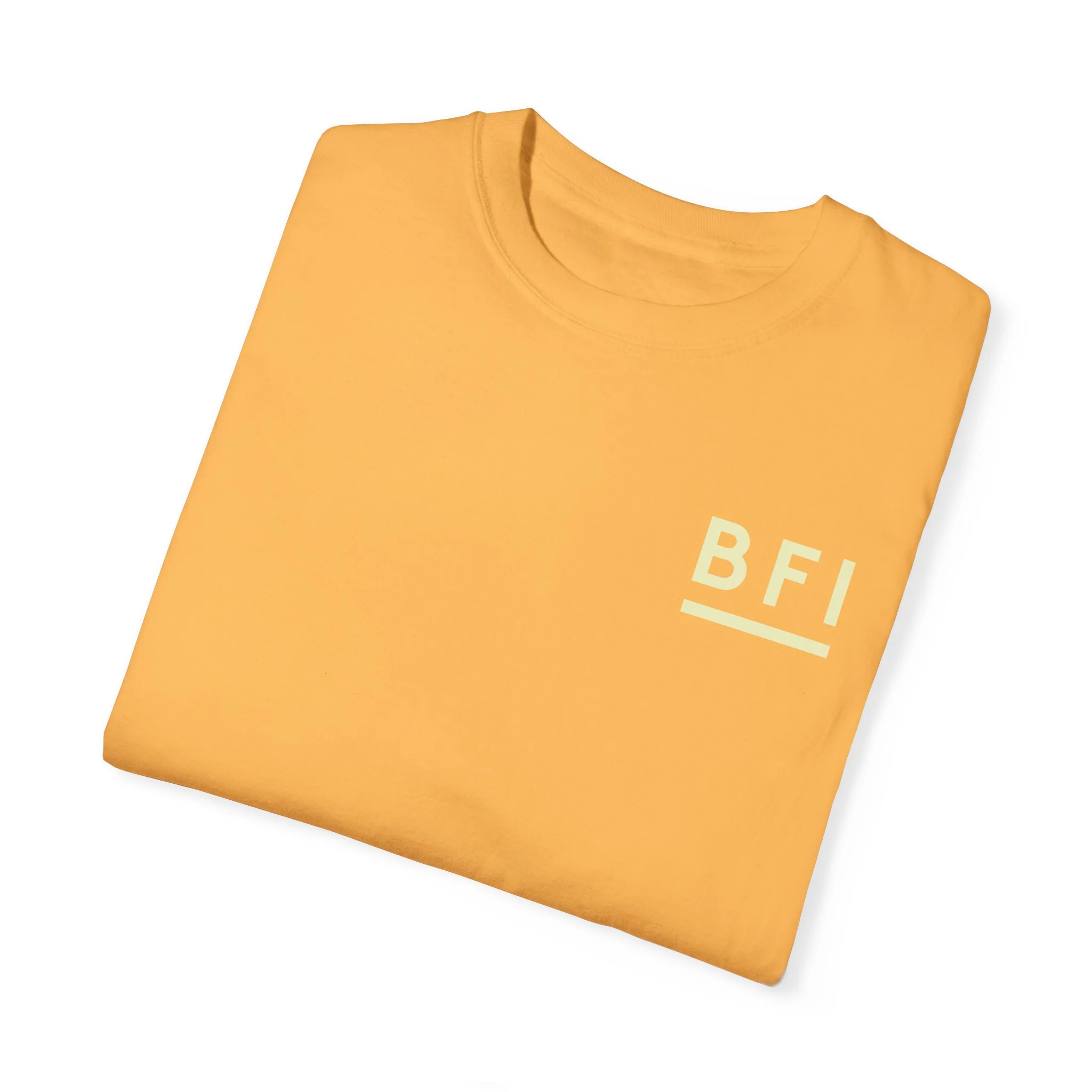 BFI Comfort Colors T-Shirt - Image 17