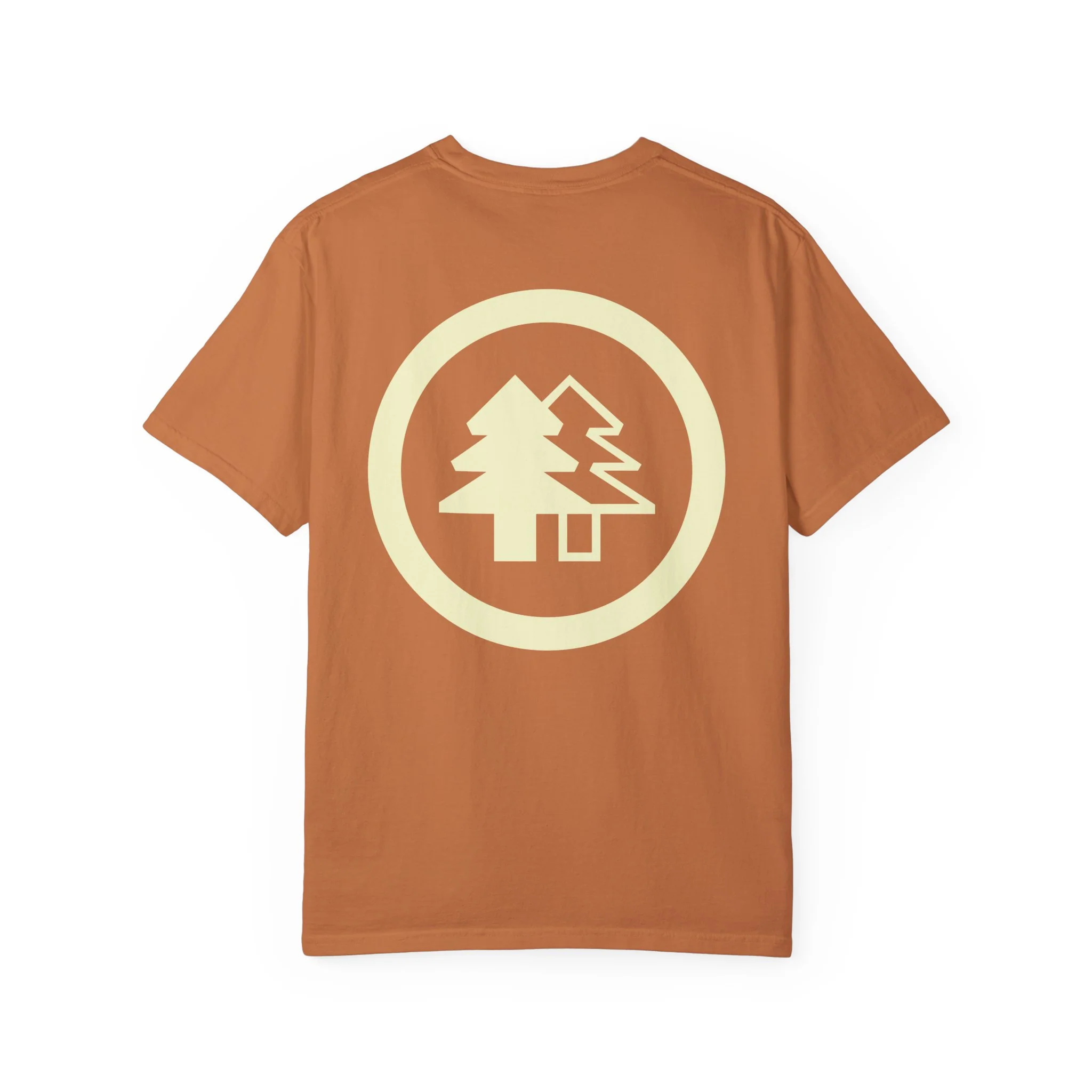 BFI Comfort Colors T-Shirt - Image 19