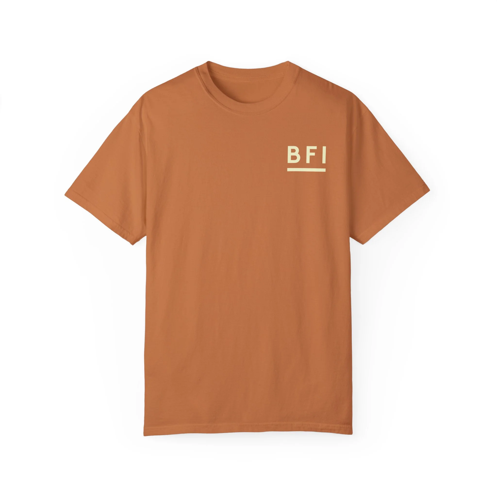 BFI Comfort Colors T-Shirt - Image 2