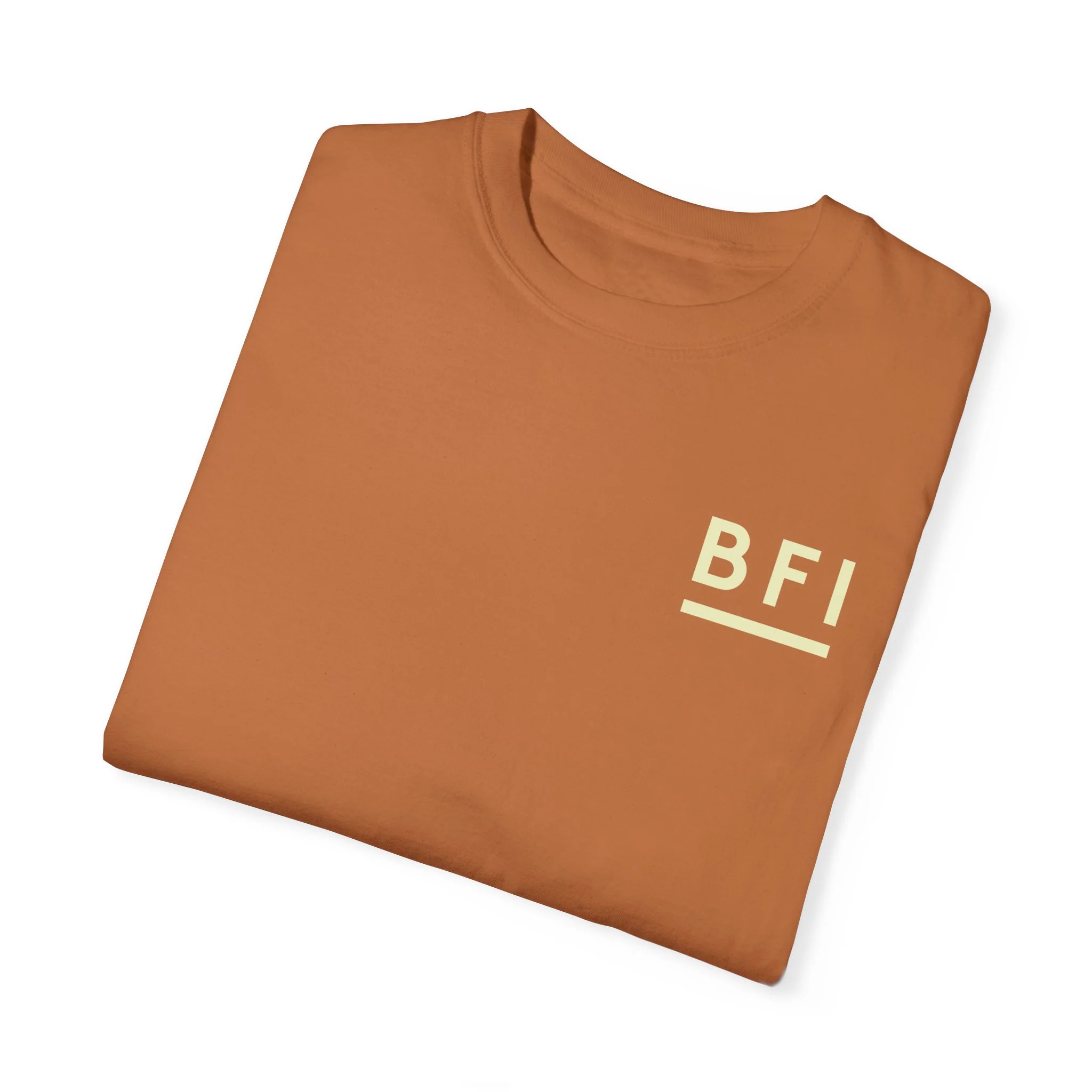 BFI Comfort Colors T-Shirt - Image 20