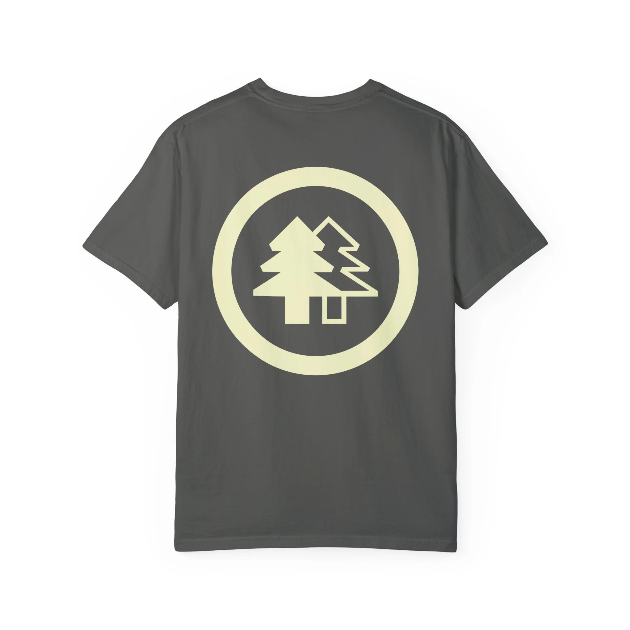 BFI Comfort Colors T-Shirt - Image 25