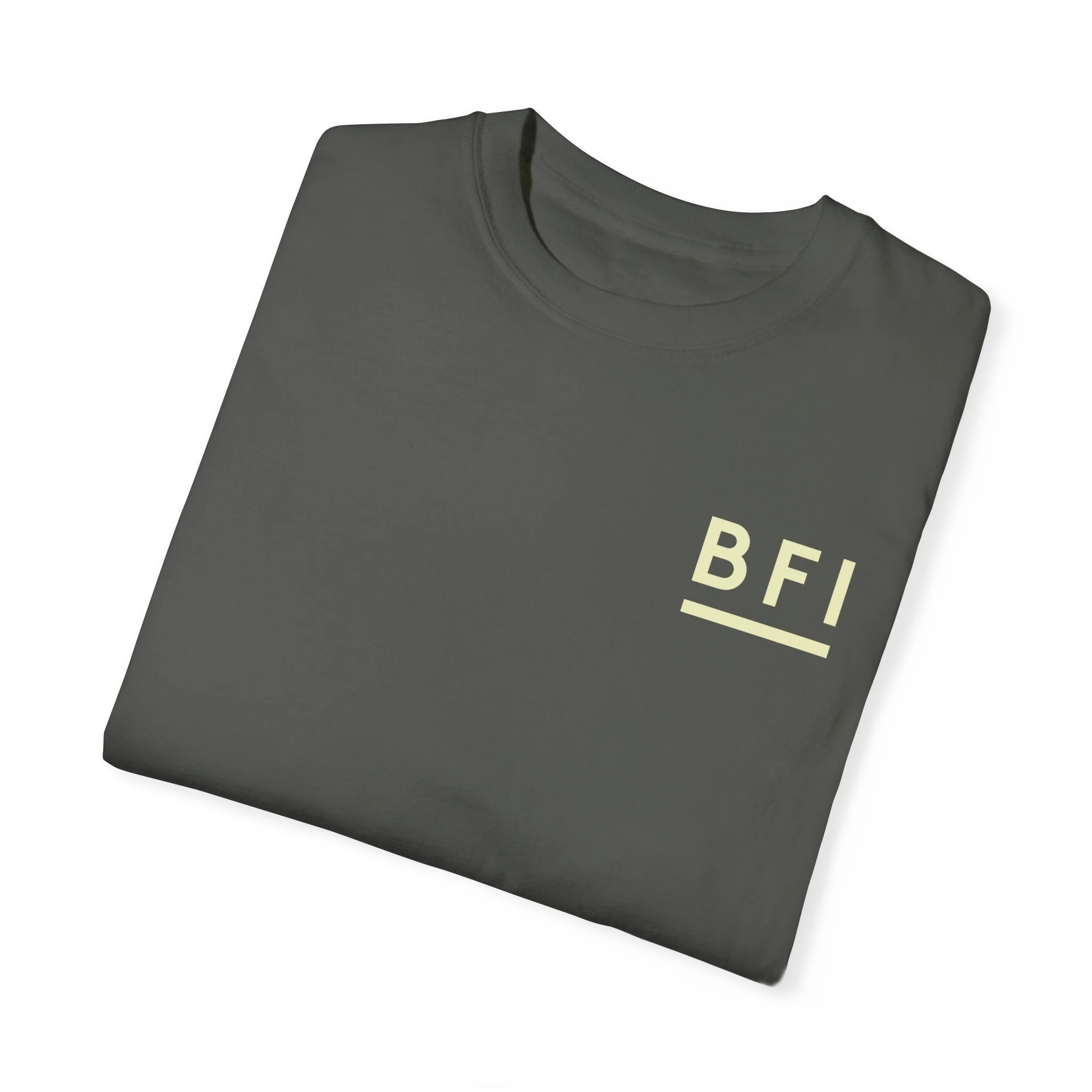 BFI Comfort Colors T-Shirt - Image 26