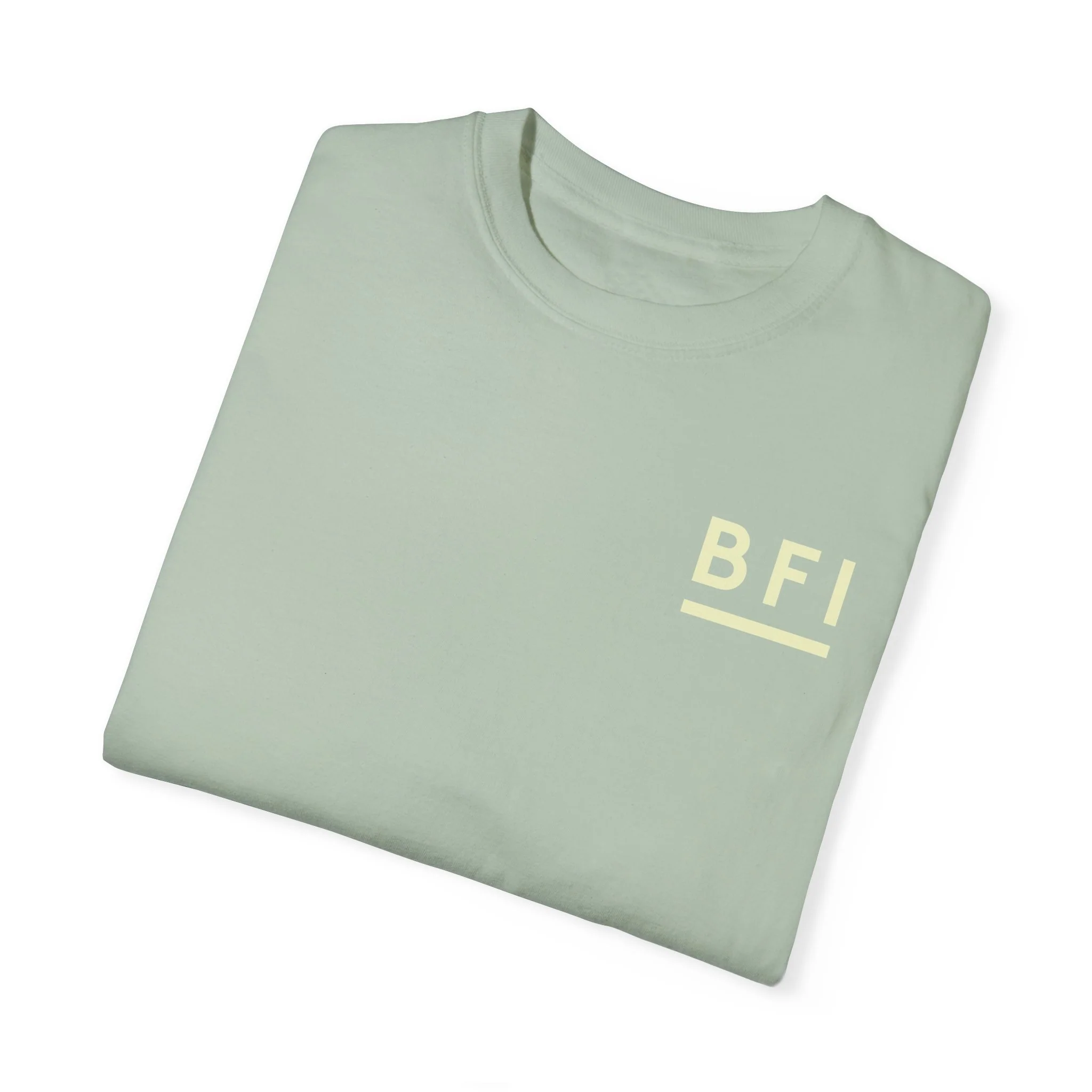 BFI Comfort Colors T-Shirt - Image 29