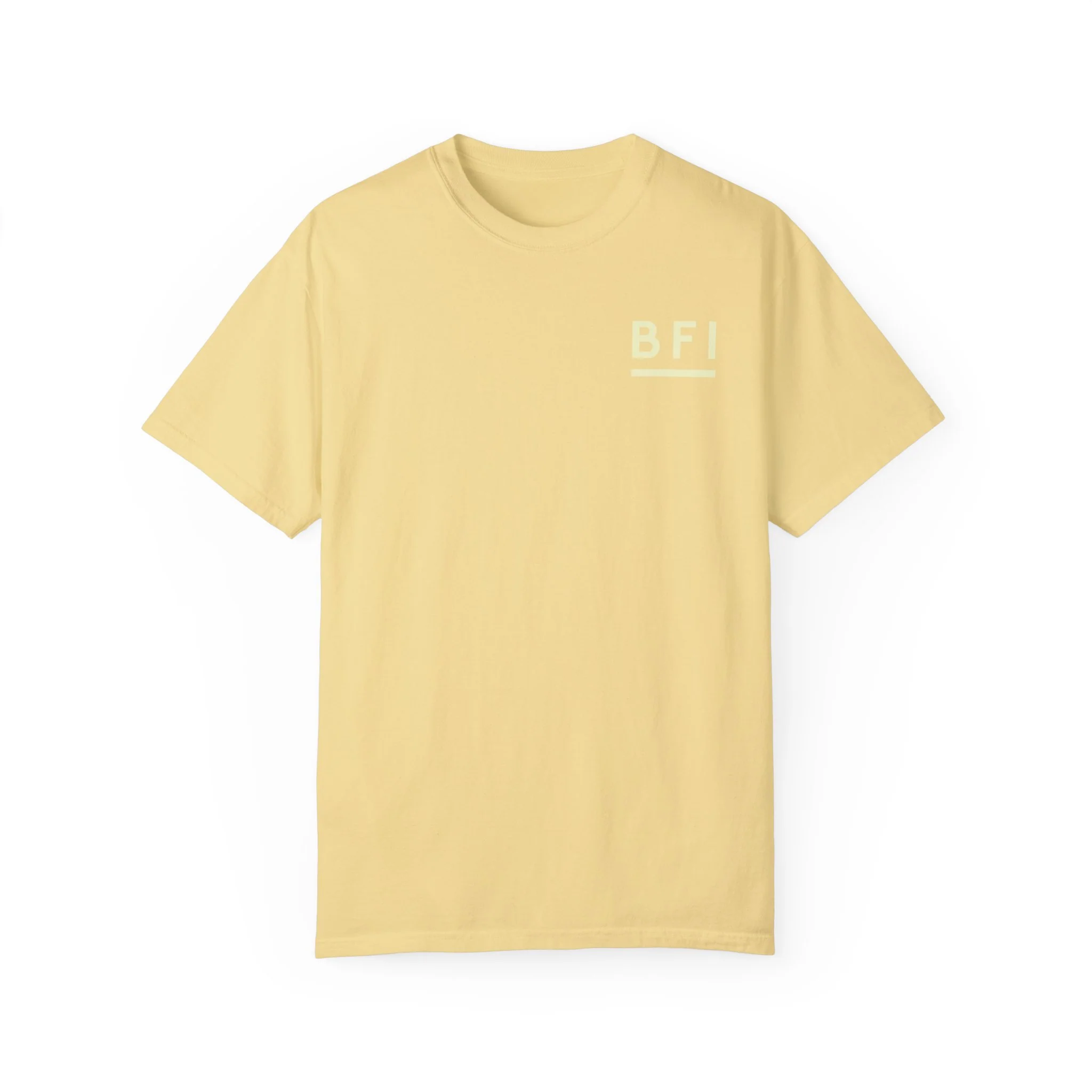 BFI Comfort Colors T-Shirt - Image 3