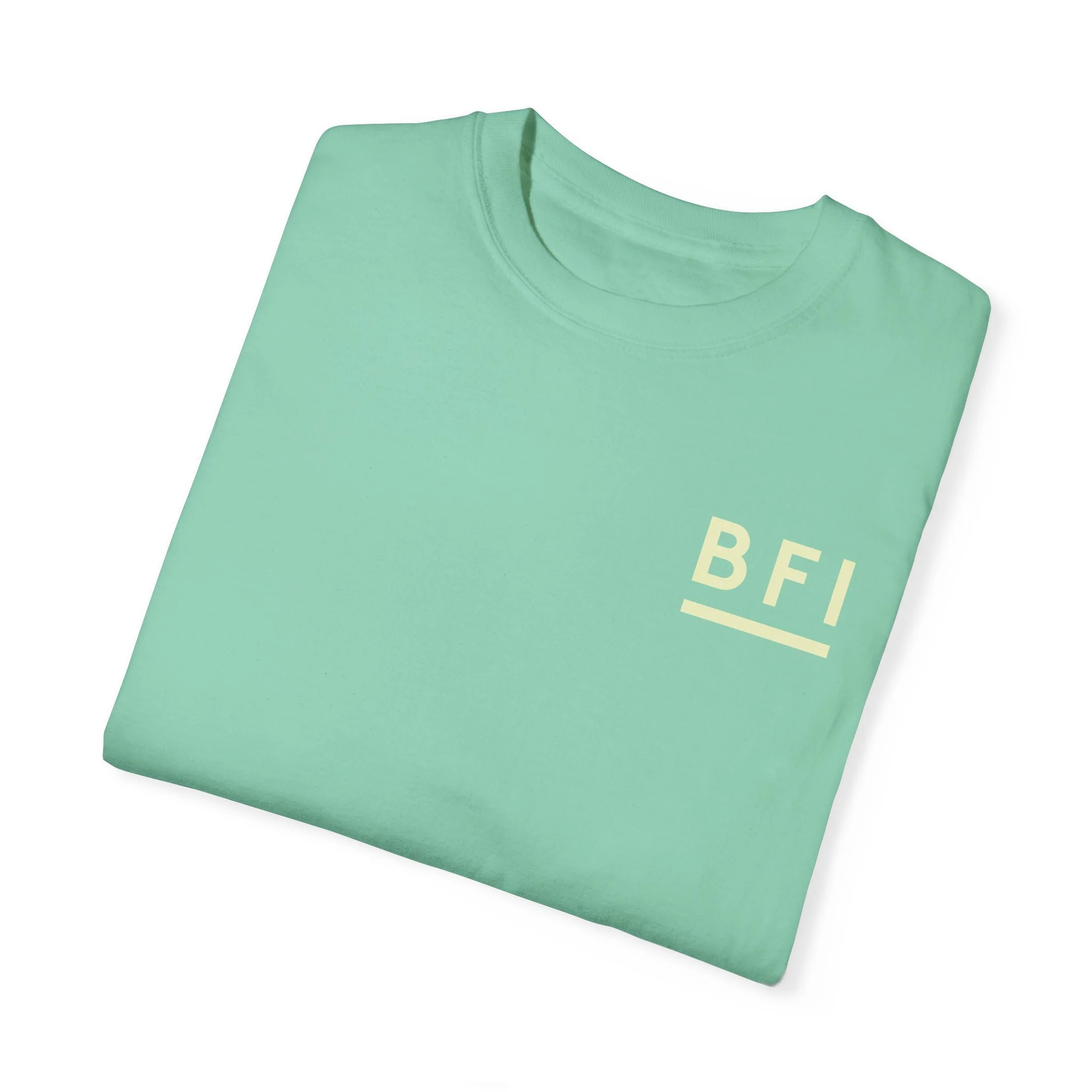 BFI Comfort Colors T-Shirt - Image 35