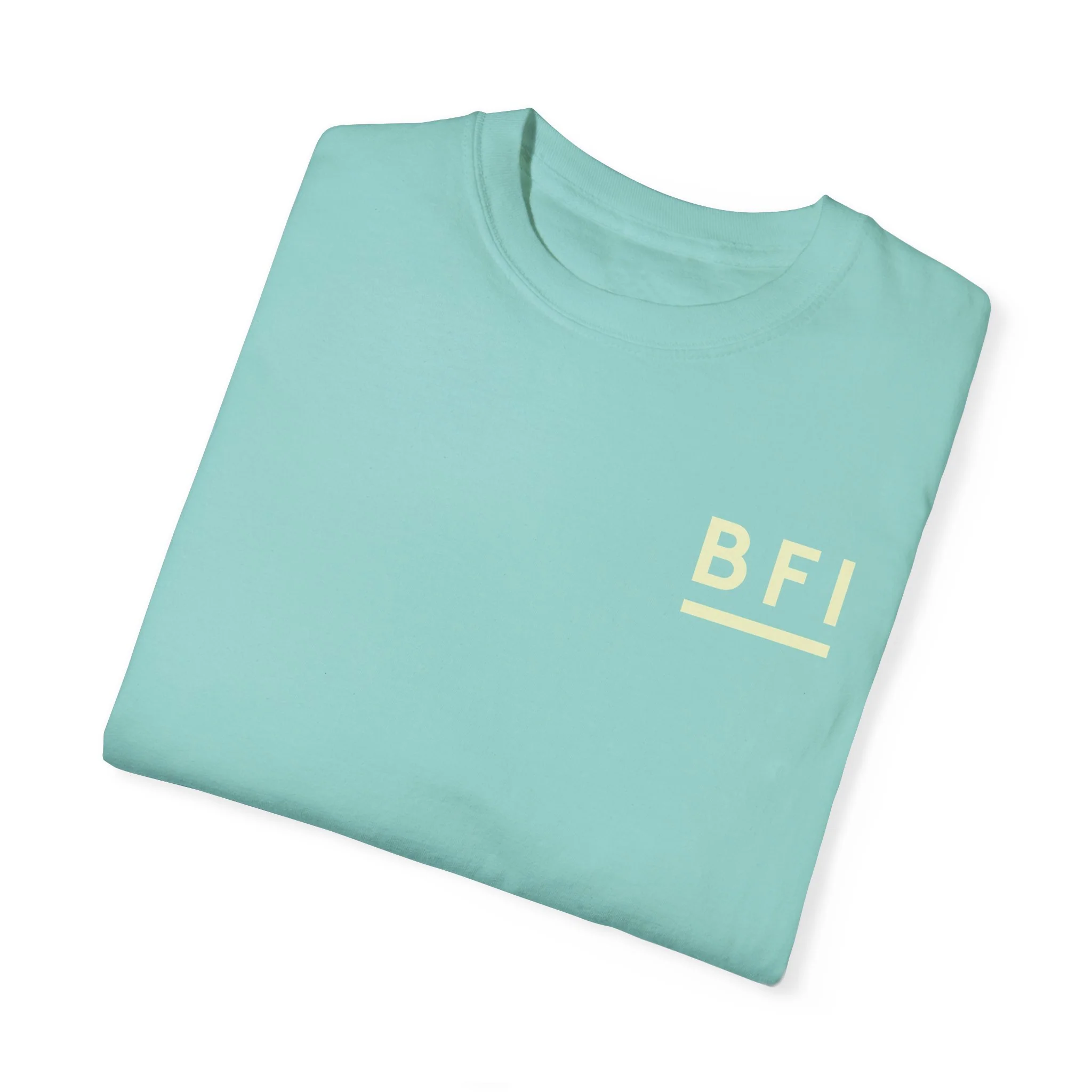 BFI Comfort Colors T-Shirt - Image 38