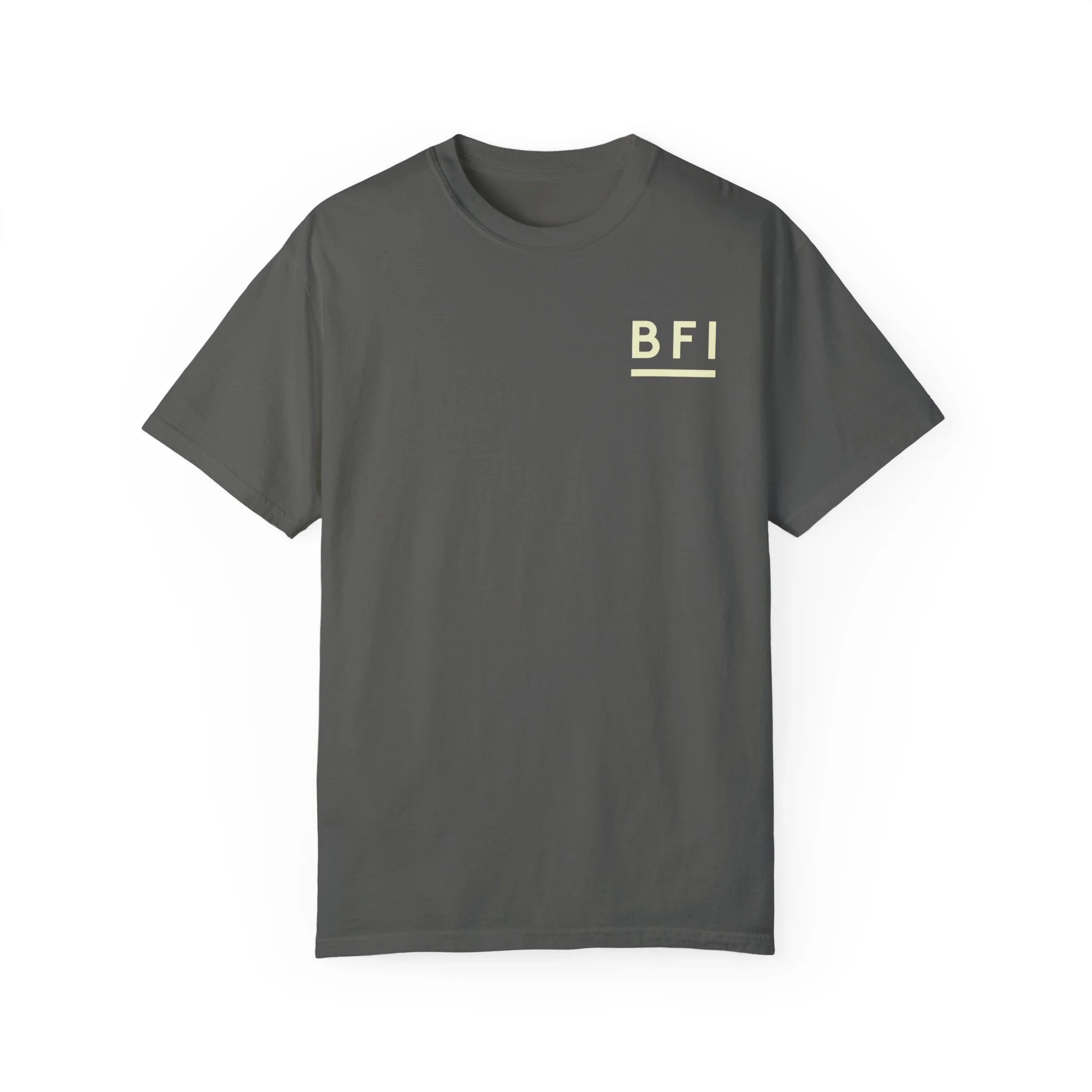 BFI Comfort Colors T-Shirt - Image 4