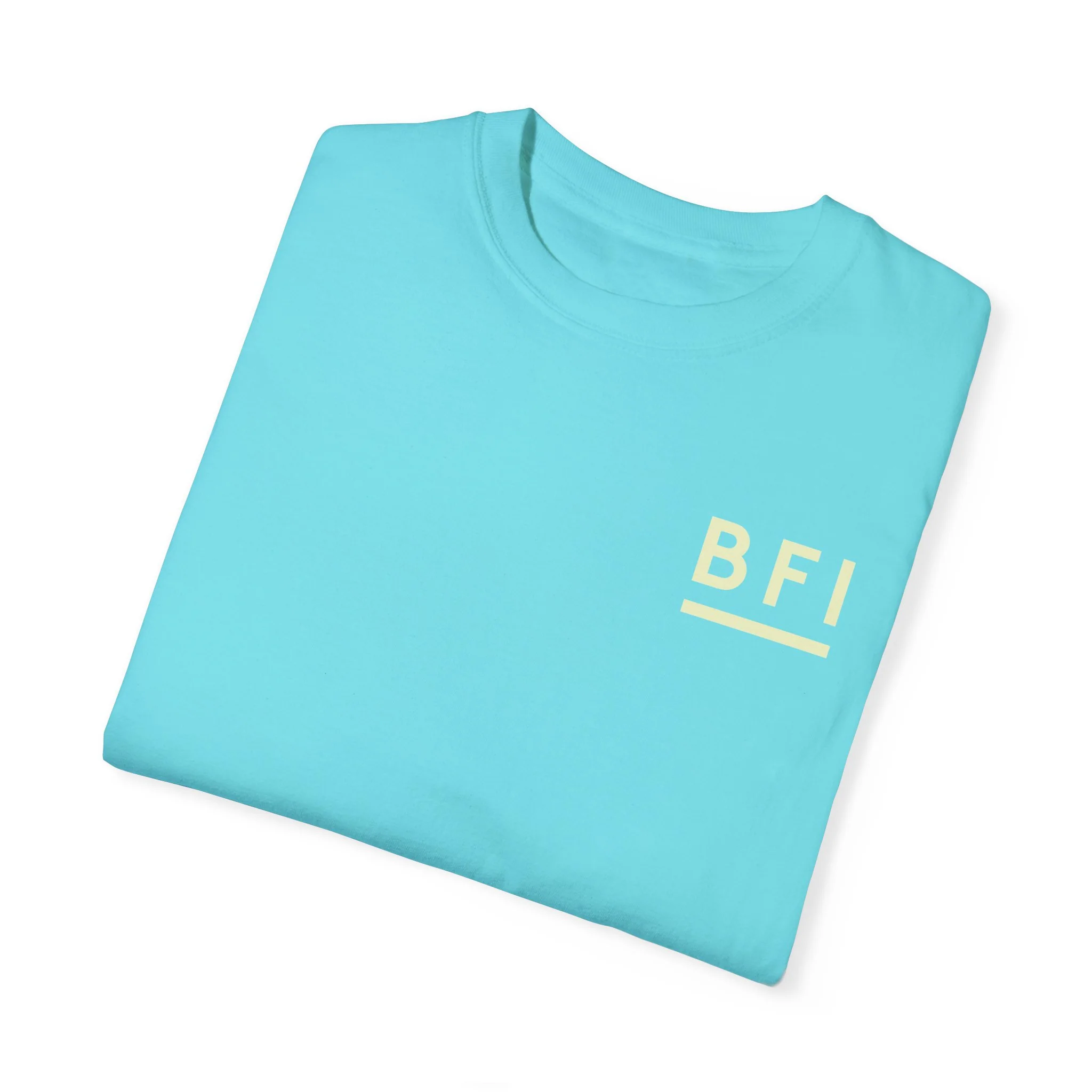BFI Comfort Colors T-Shirt - Image 41