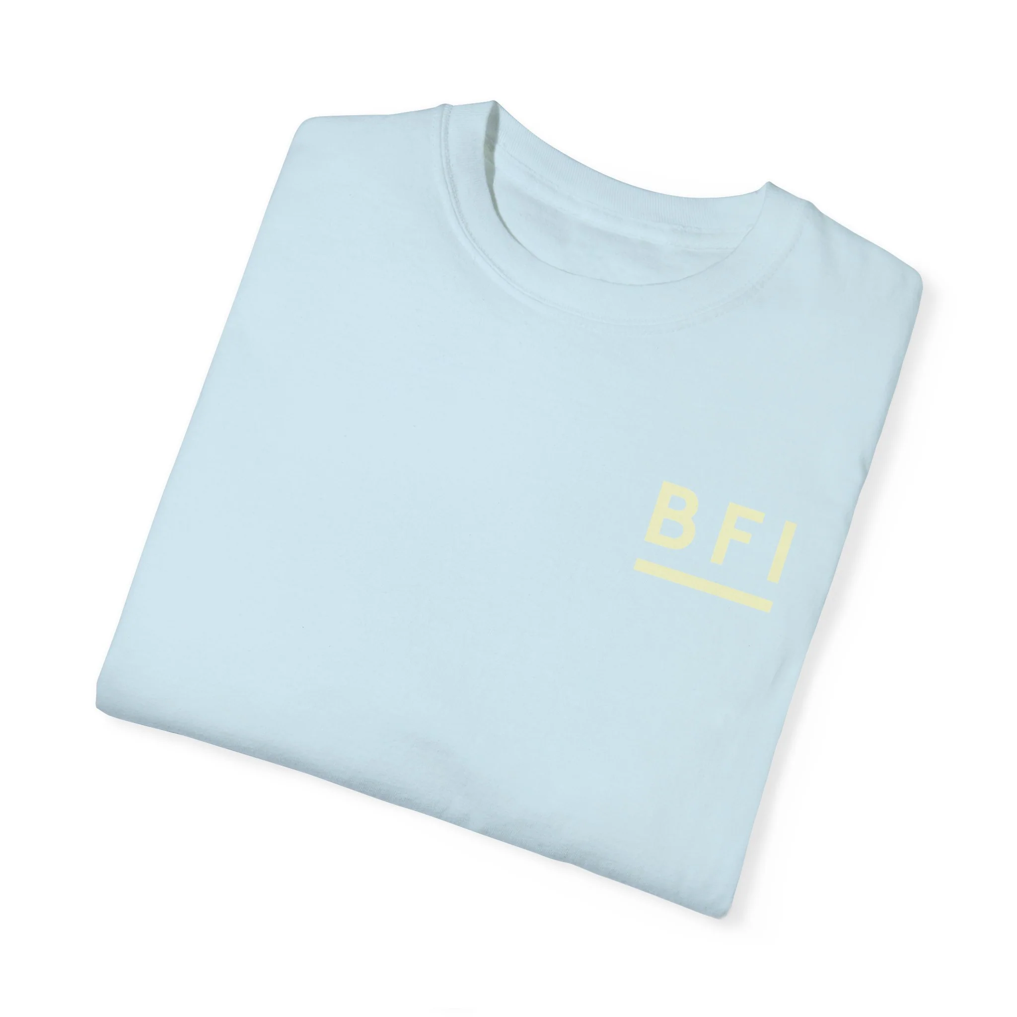 BFI Comfort Colors T-Shirt - Image 44