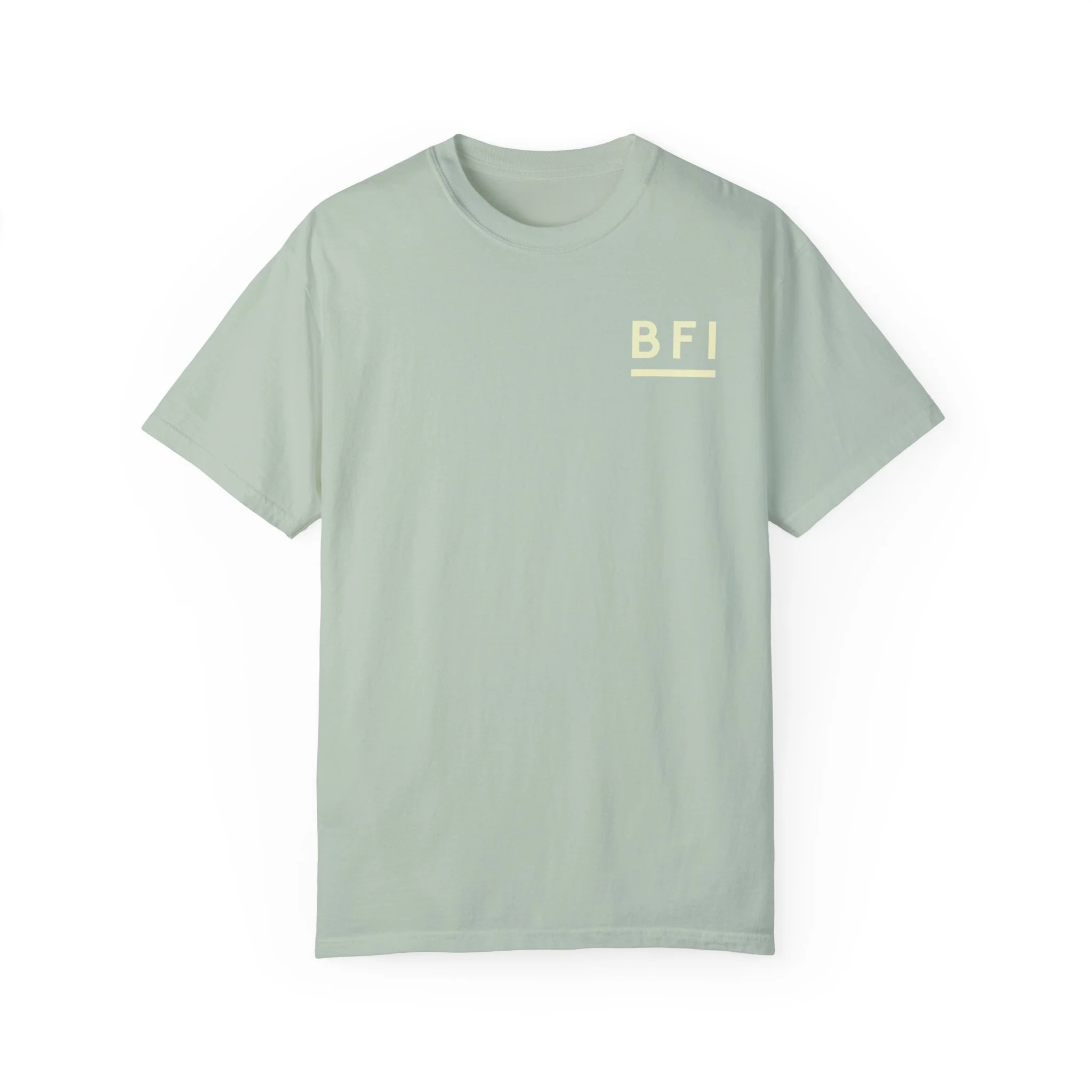 BFI Comfort Colors T-Shirt - Image 5