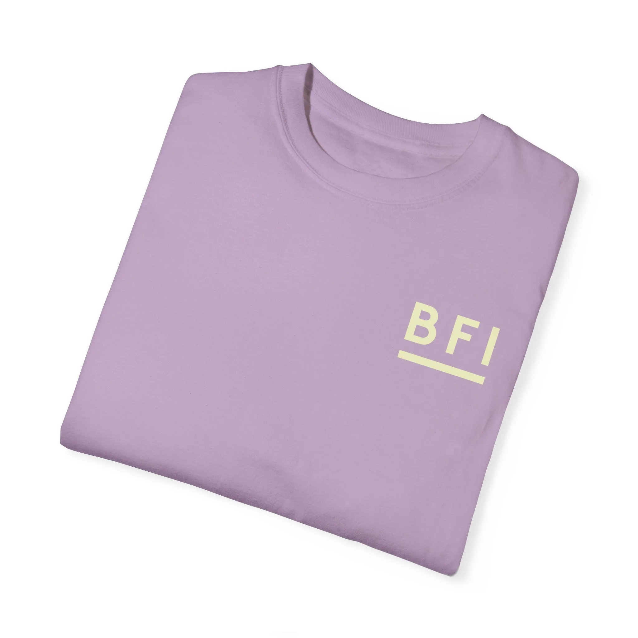BFI Comfort Colors T-Shirt - Image 50