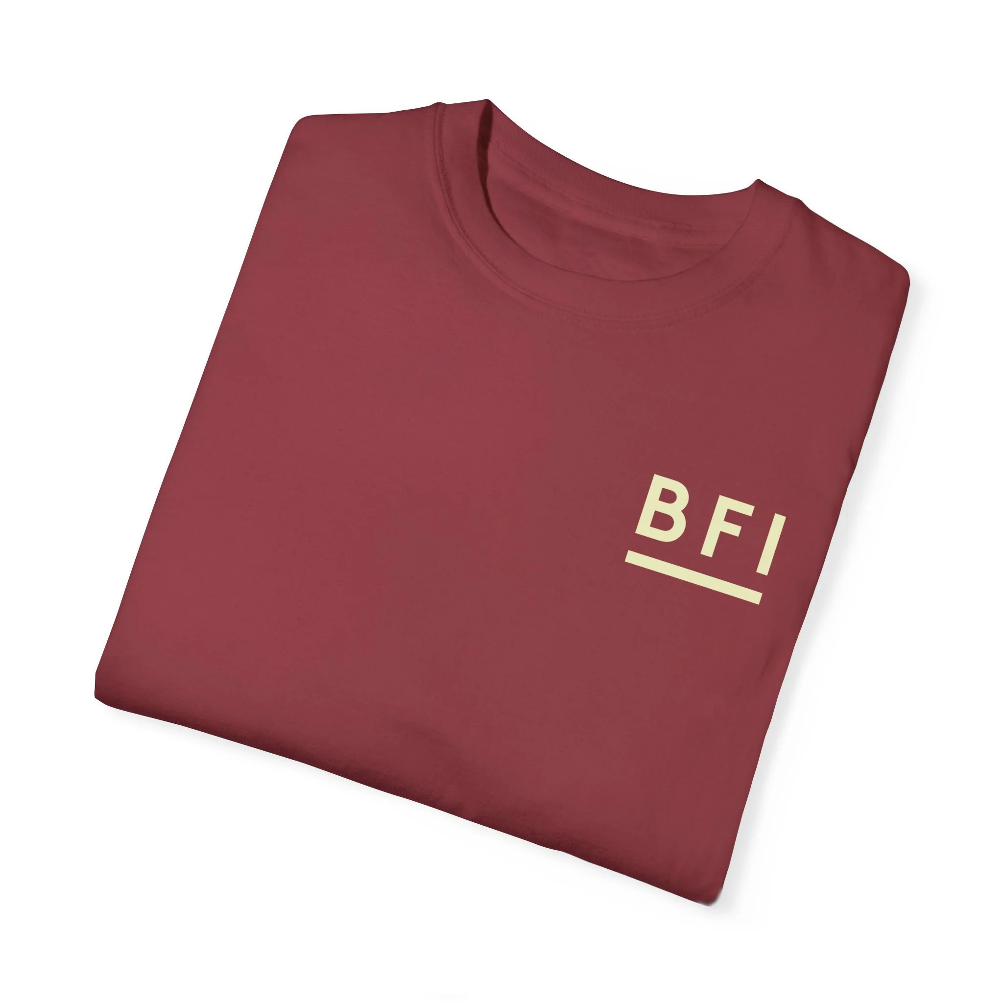 BFI Comfort Colors T-Shirt - Image 56