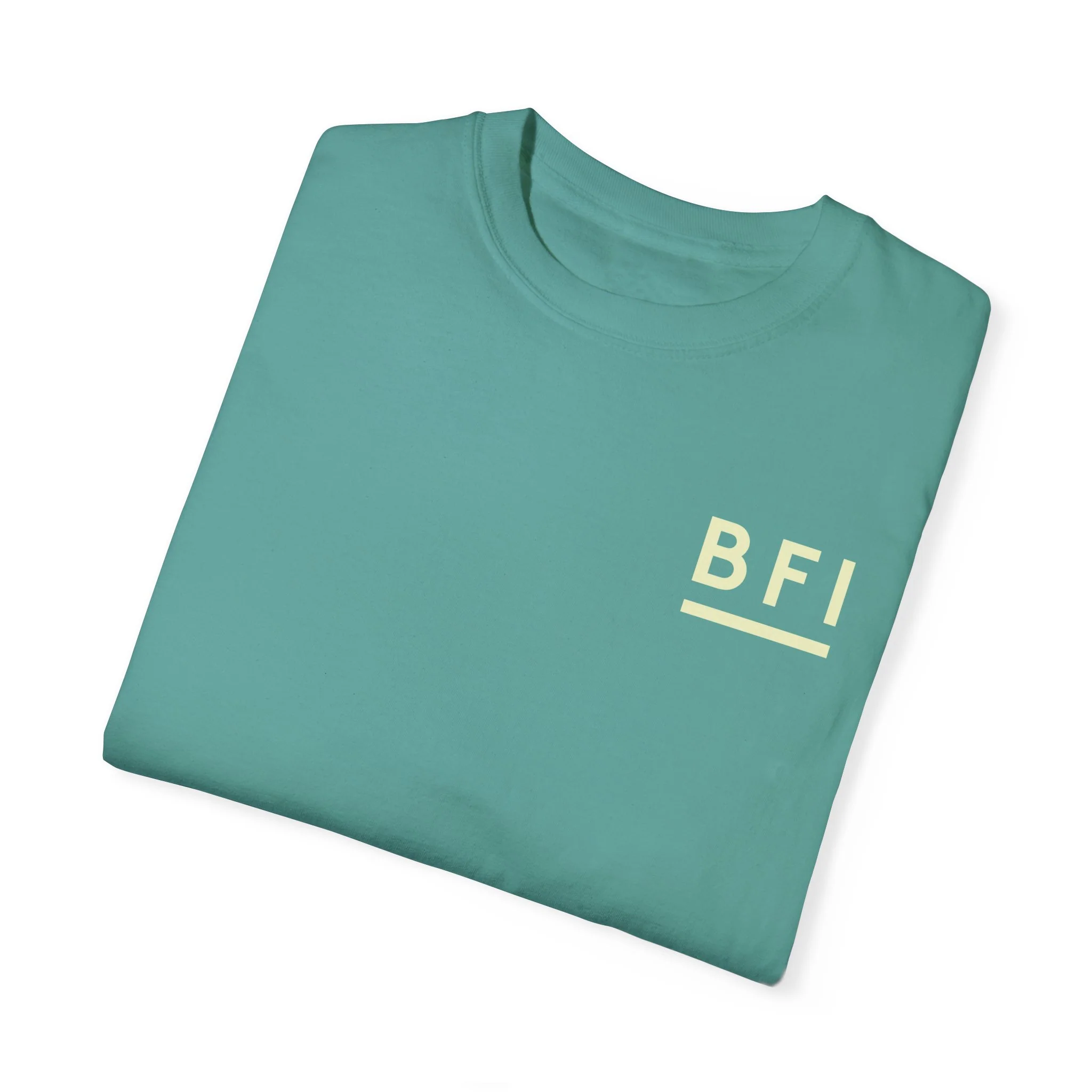 BFI Comfort Colors T-Shirt - Image 59