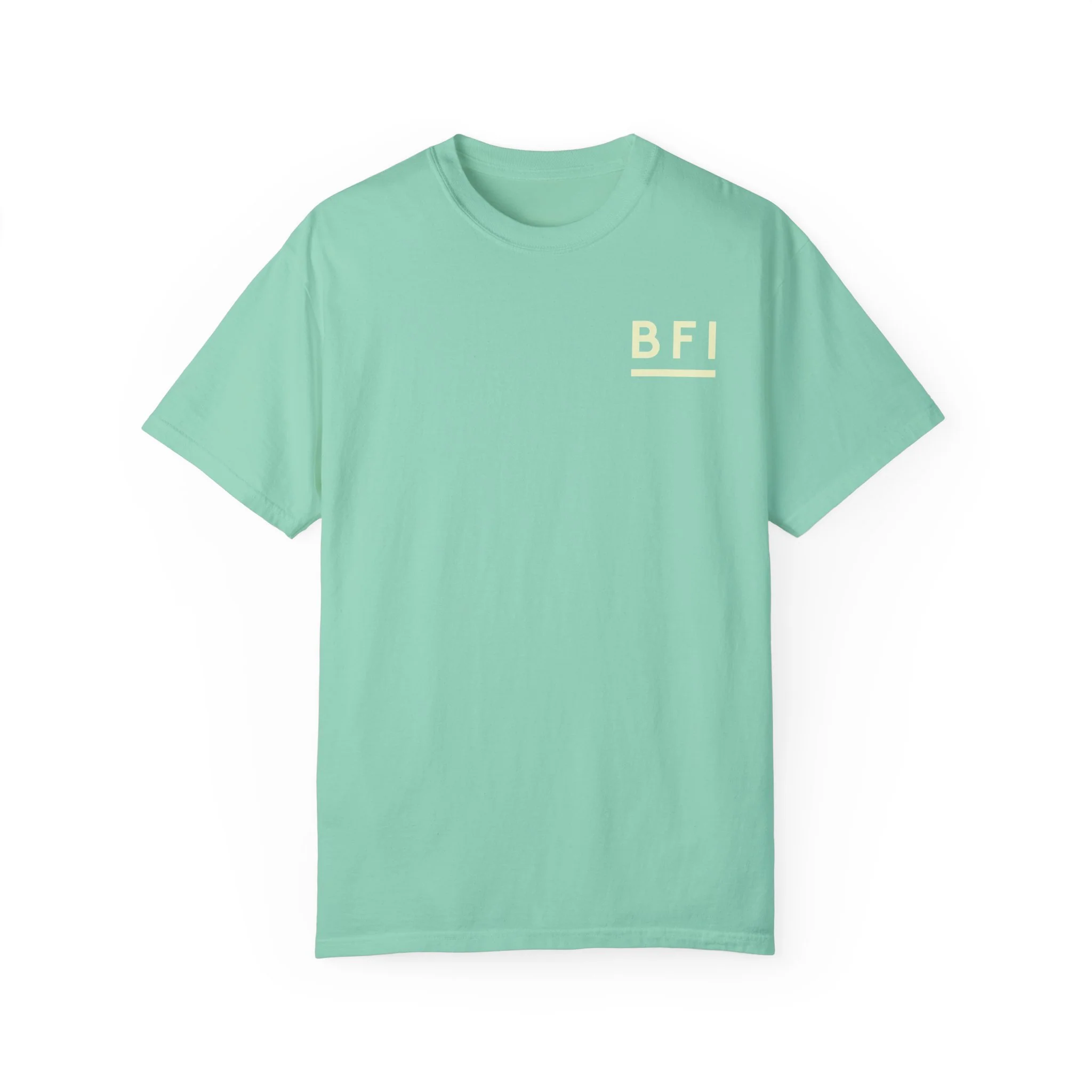 BFI Comfort Colors T-Shirt - Image 7
