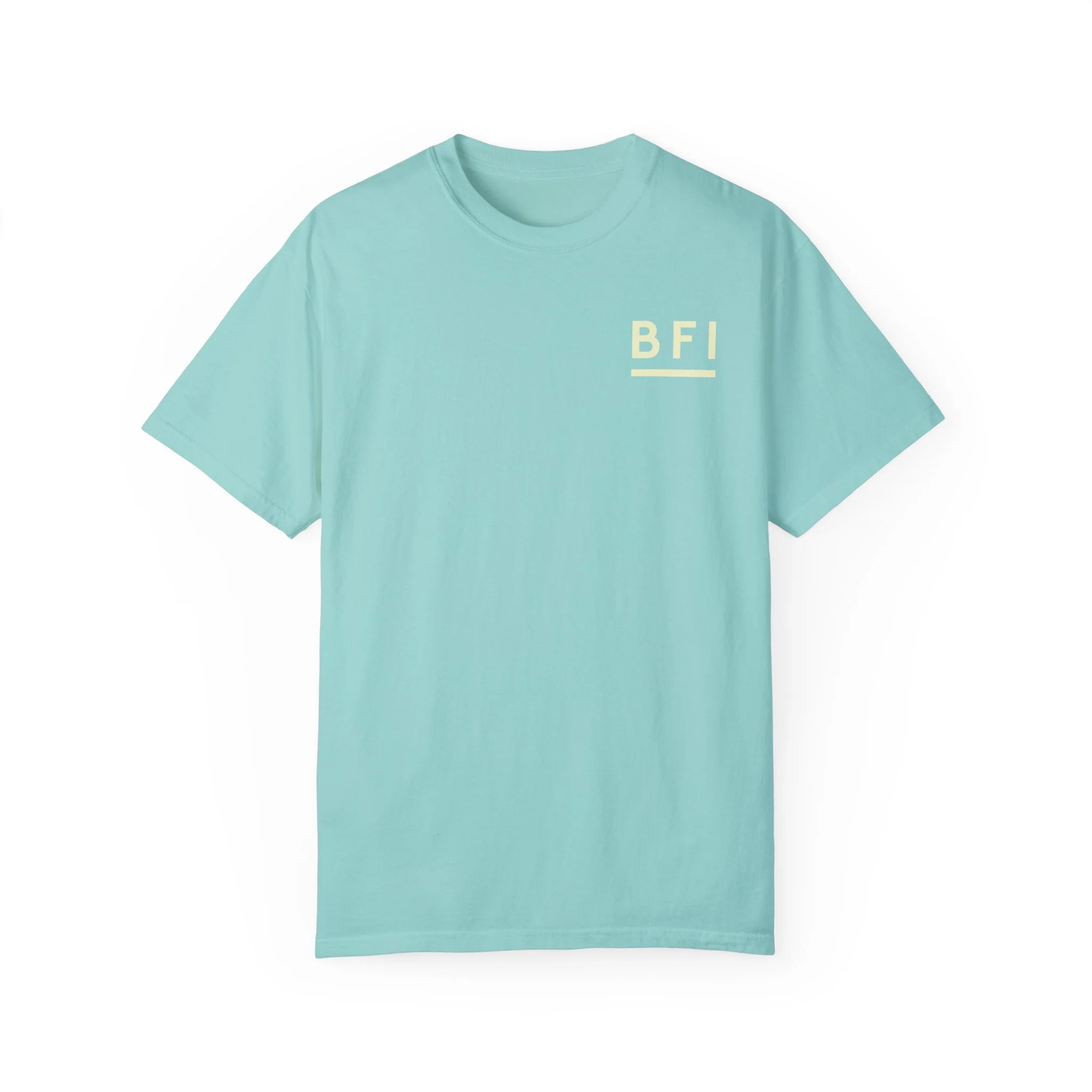 BFI Comfort Colors T-Shirt - Image 8