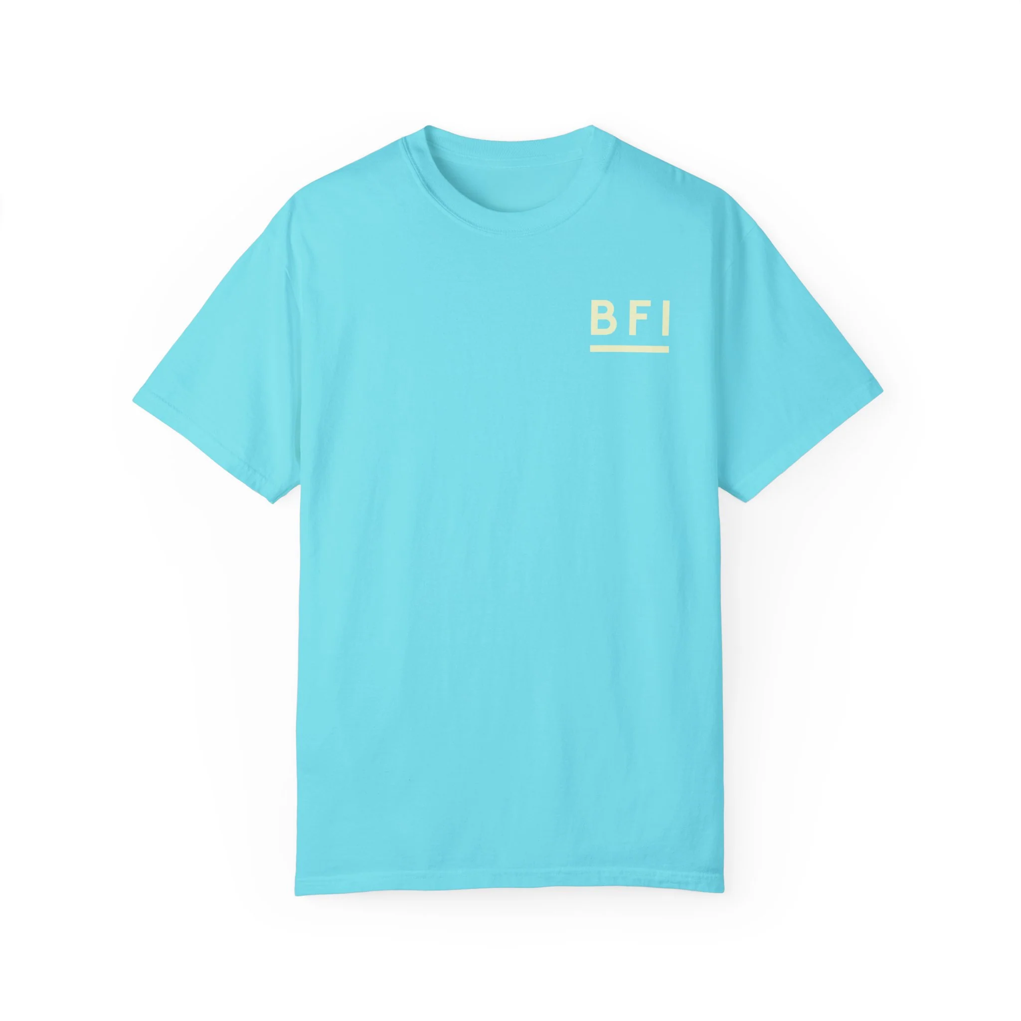 BFI Comfort Colors T-Shirt - Image 9