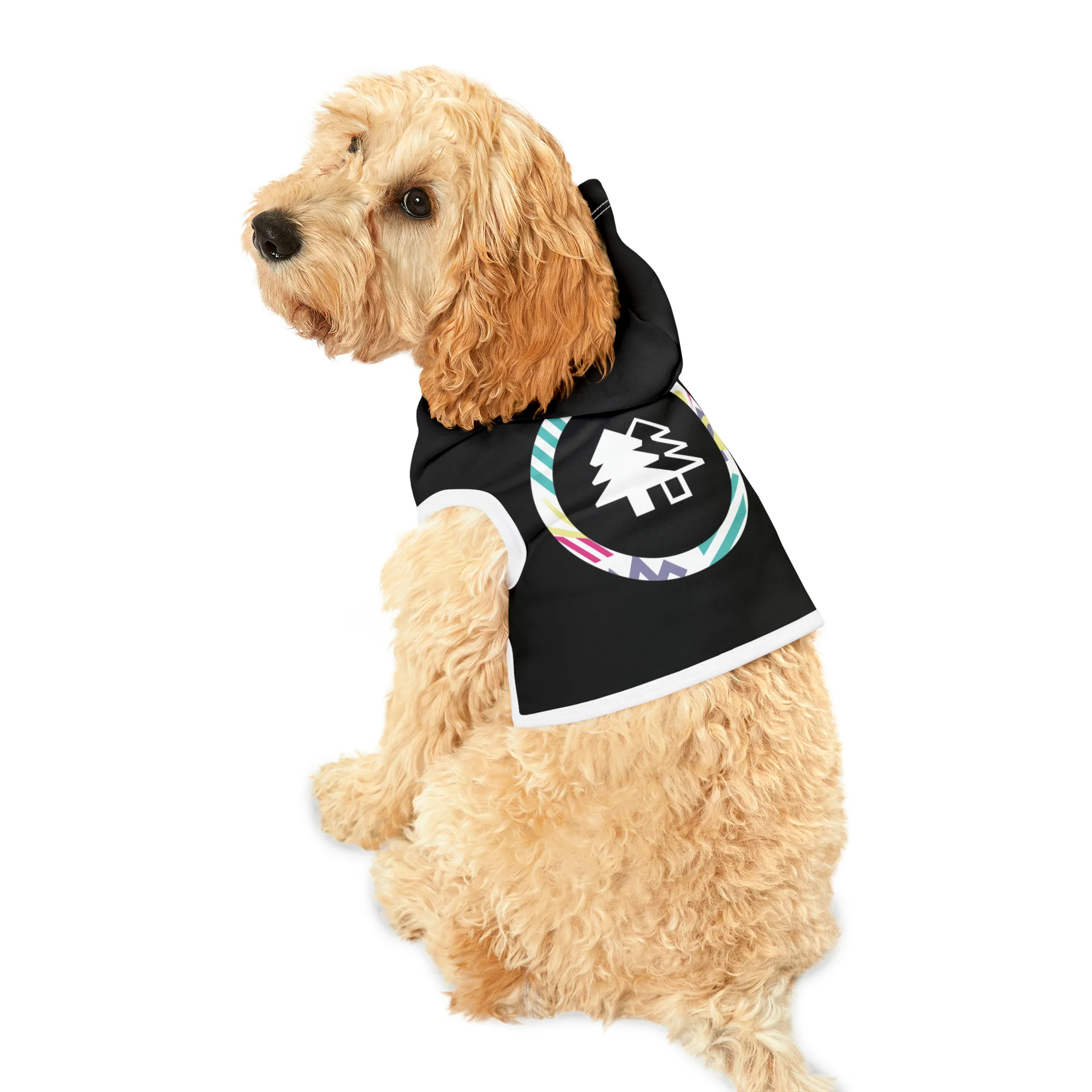 BFI Pet Hoodie
